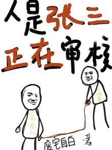 《人是张三,正在审核》