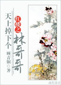 (BL/红楼同人)红楼之天上掉下个林哥哥